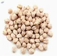 Kabuli Chickpea