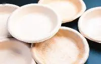 Areca Palm Leaf Plates