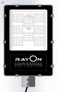 Rayon Street Light 100 Watt