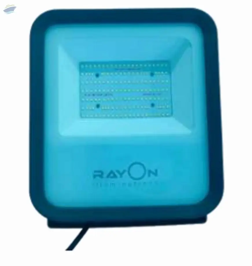 Rayon Flood Light 100 Watt
