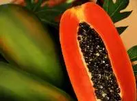 Papaya