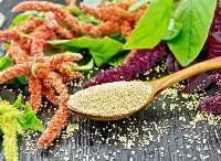 Amaranth Millet