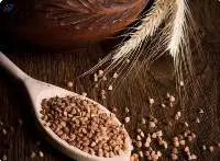 Buckwheat Millet