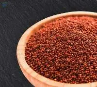 Finger Millet (Ragi)
