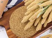 Foxtail Millet
