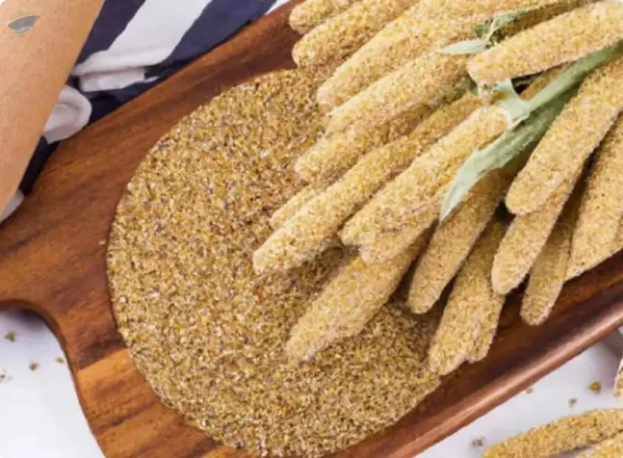 Foxtail Millet
