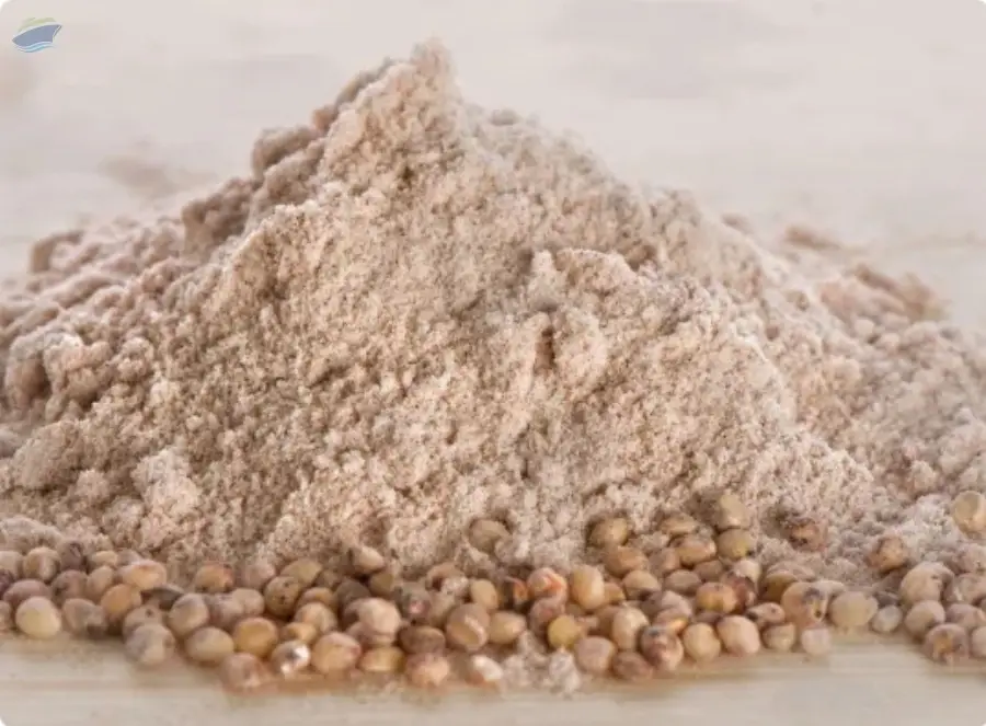 Sorghum Millet