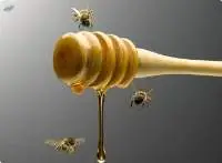 Honeydew Honey