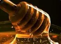 Rewarewa Honey