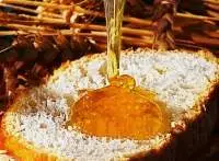 Thyme Honey