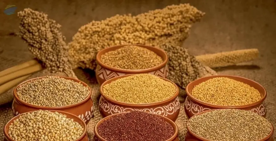 Millet