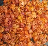 Export Quality All Grade Nutmeg Mace Flower