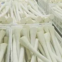 Hearts Of Palm | Whole | Non-GMO |