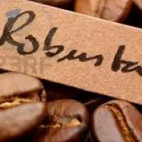 Robusta Coffee Beans