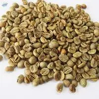 Robusta Coffee Beans