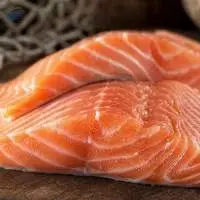 Salmon