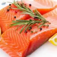 Salmon