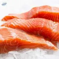 Salmon