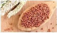 Ragi / Finger Millet