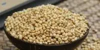 Jowar / Sorghum