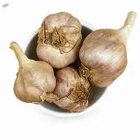 Kodaikanal Hill Garlic