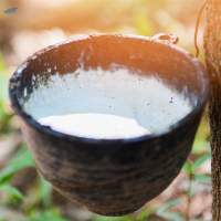 Natural Rubber Latex HA 60% DRC Vietnam  