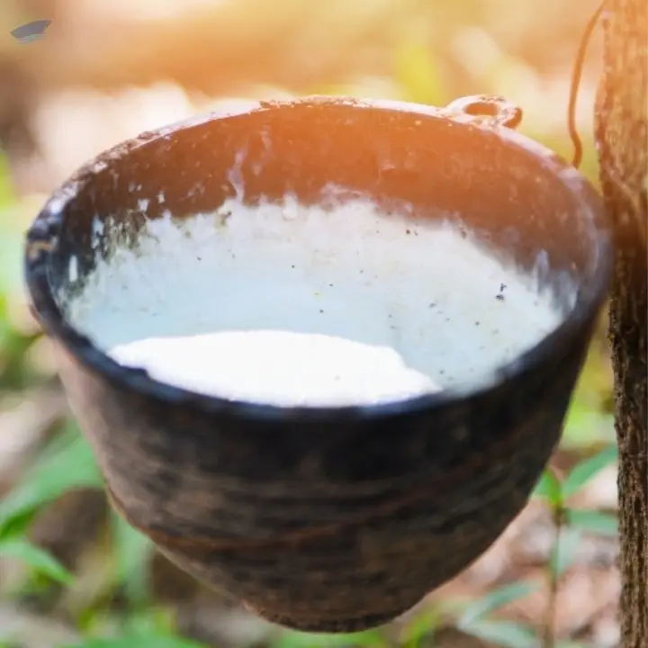 Natural Rubber Latex HA 60% DRC Vietnam  