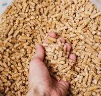 Wood Pellets