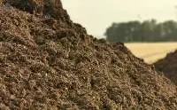 Organic Fertilizer