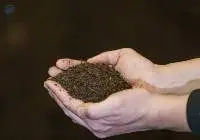 Energy Boost Fertilizer
