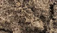Organic Horse Fertilizer