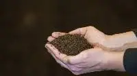 Energy Boost Fertiliser