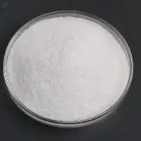 Food Additive CAS 9003-04-7 Sodium Polyacrylate