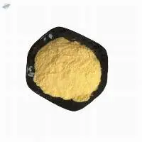 2,5-DIMETHOXY-BETA-NITROSTYRENE