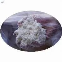 HPMC Hydroxypropyl Methylcellulose