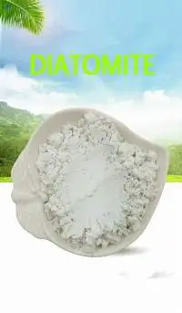 Diatomite Diatomaceous Earth CAS 61790-53-2