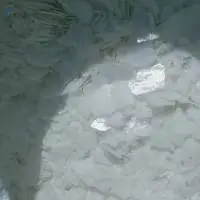 Sodium Hydroxide