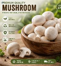 Fresh Button Mushrooms