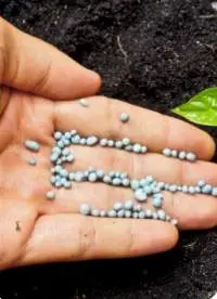Urea formaldehyde concentrate