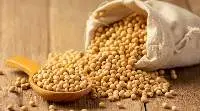 Soybean