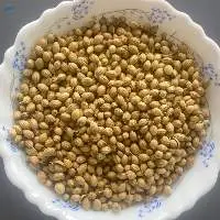 Coriander seeds