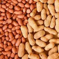 Groundnut Kernels