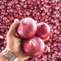 Fresh Red Onion