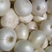 Fresh White Onion