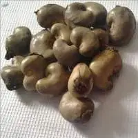 Cashew Nuts