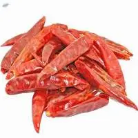 Dried Red Chilli Pepper