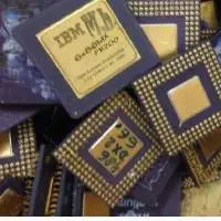 Gold Top & Bottom Ceramic Processors