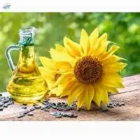 Refined Sunflower Oil