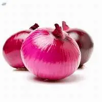 Fresh Red Onion/Fresh Yellow onion For Export