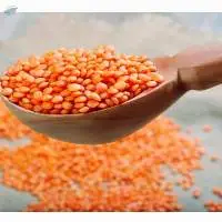 Canadian Red Lentils / Split Red Lentils
